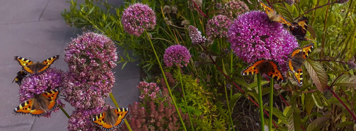 Gartenhexe